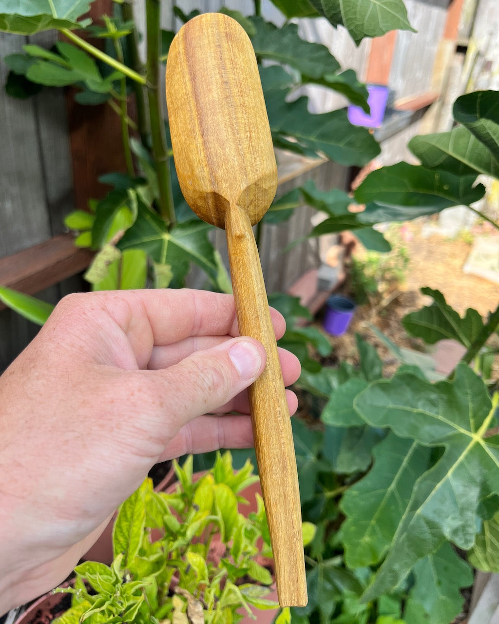 Oval Mulberry Wooden Spoon