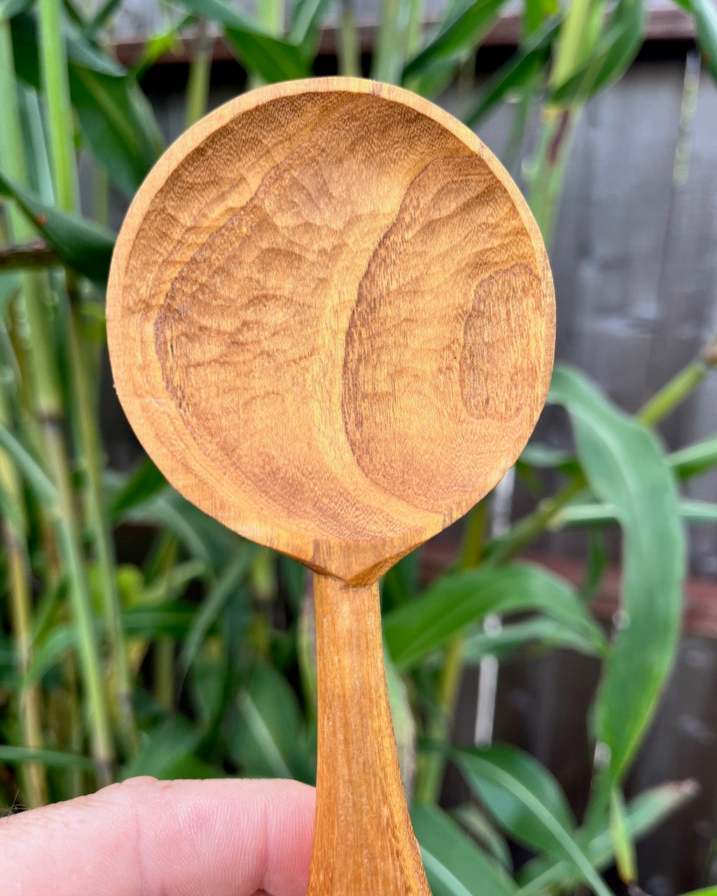 Round Mulberry Wood Spoon