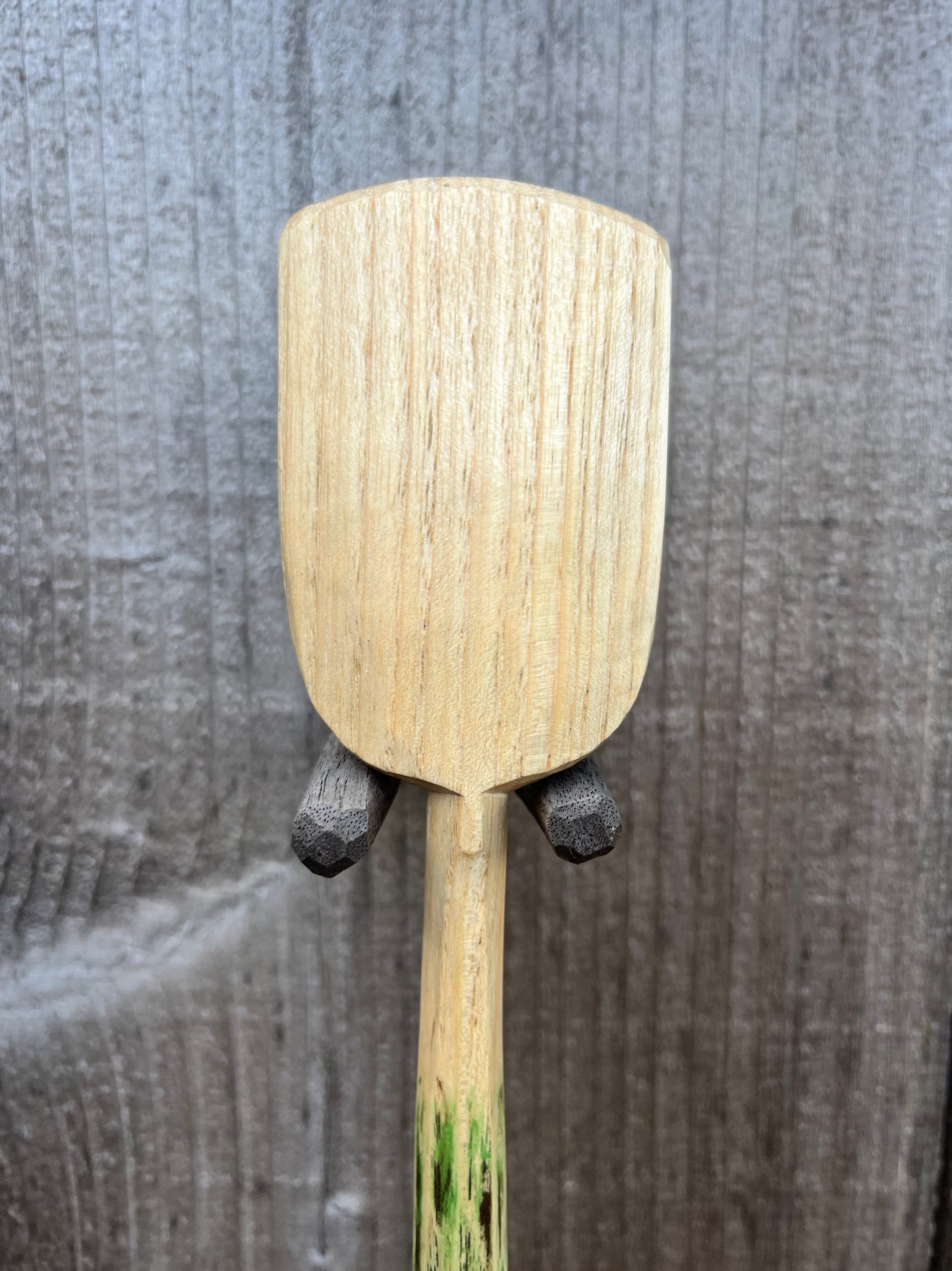 Painted Ash Spatula