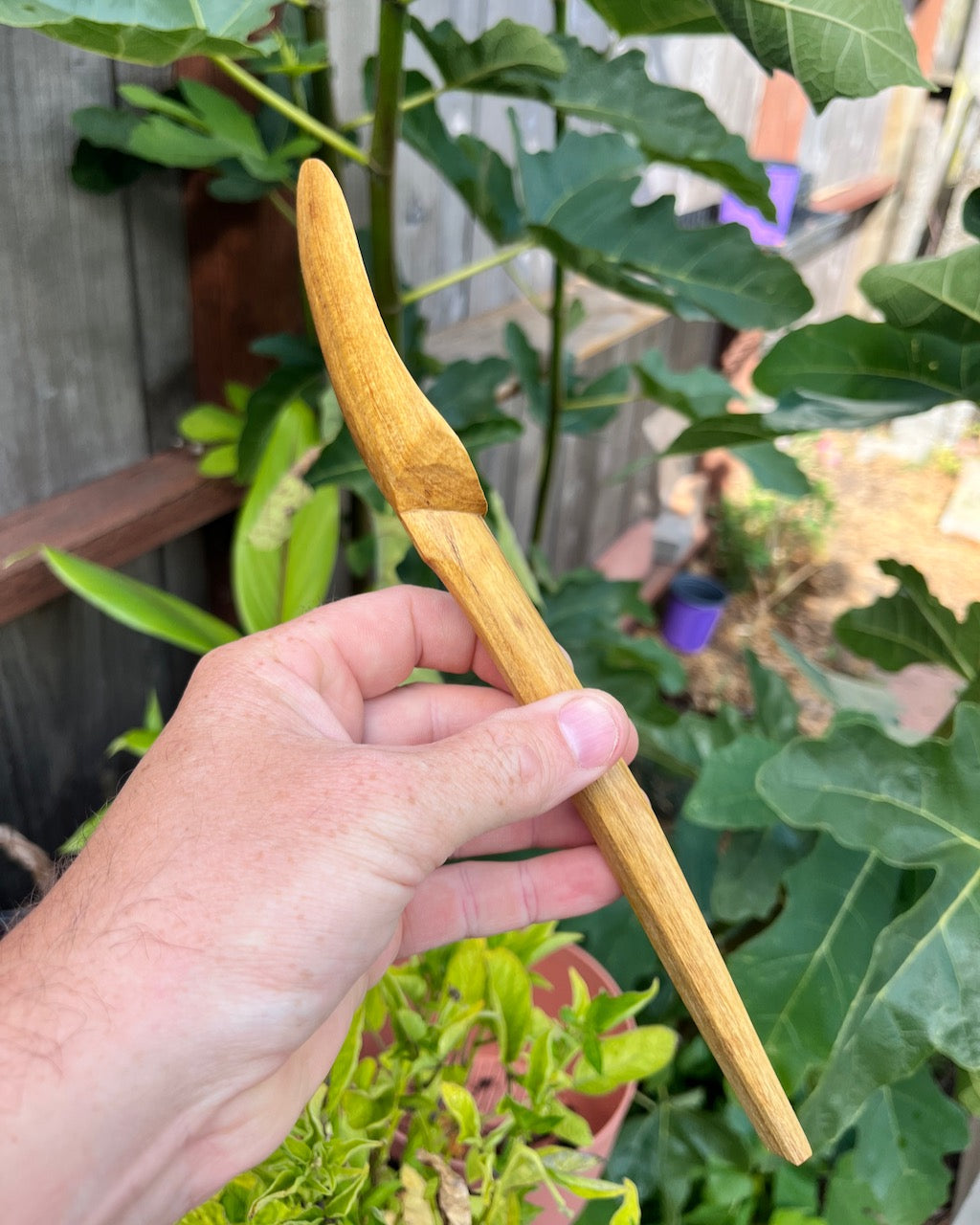 Oval Mulberry Wooden Spoon