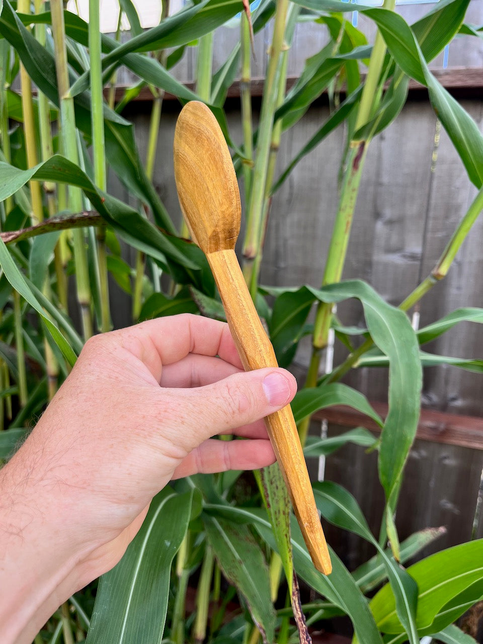 Round Mulberry Wood Spoon