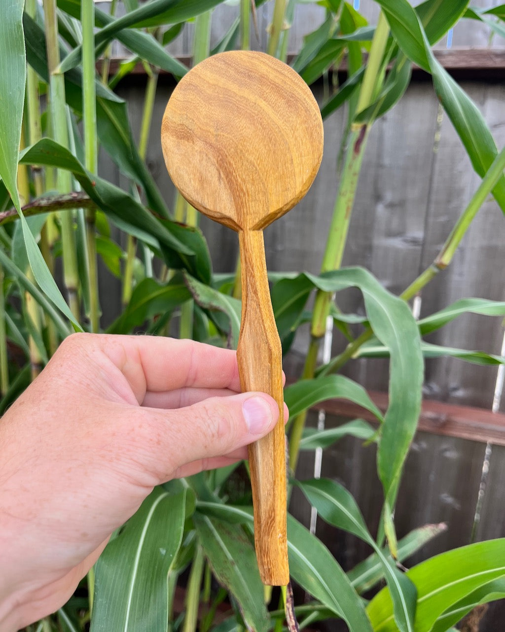 Round Mulberry Wood Spoon