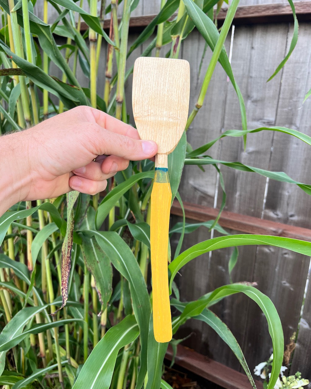 Painted Ash Spatula