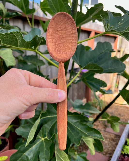 California Sycamore Spoon