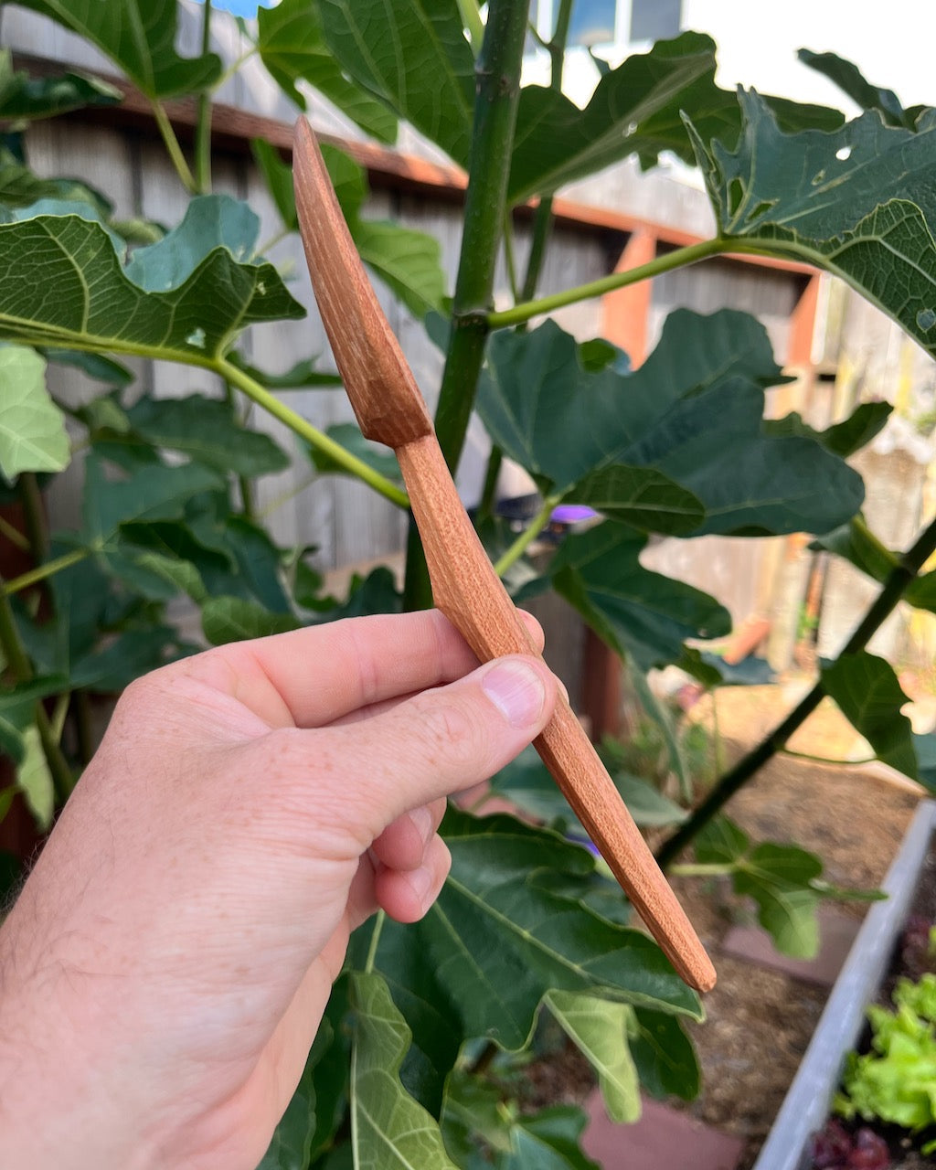 California Sycamore Spoon