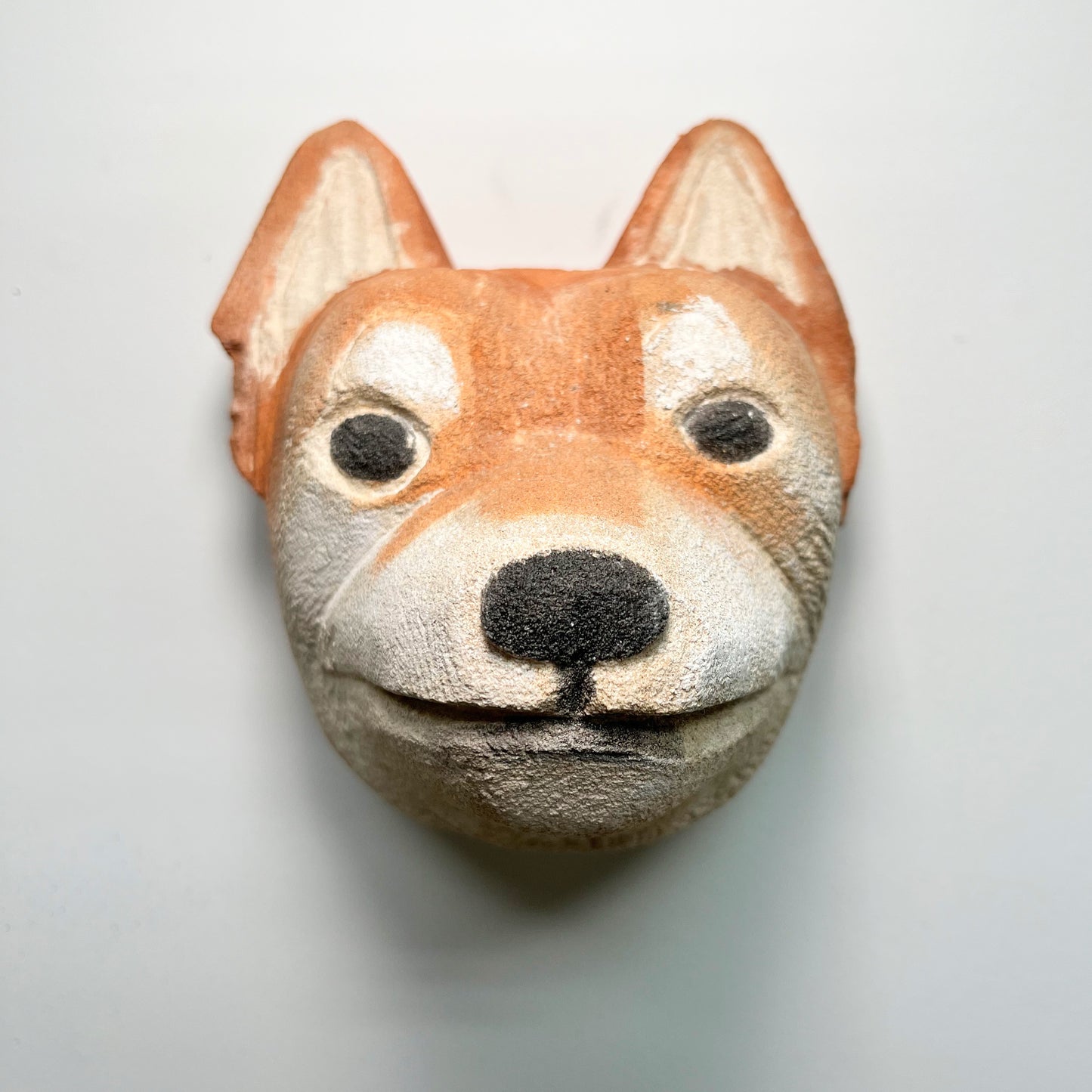 Shiba Inu