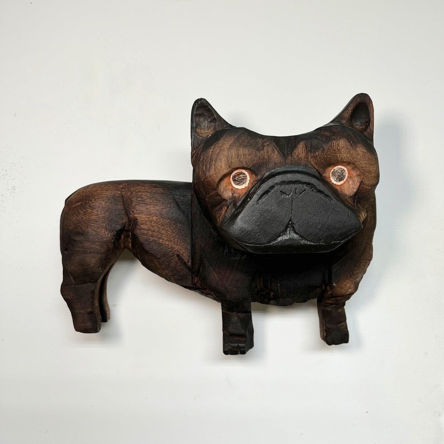 Brindle French Bulldog