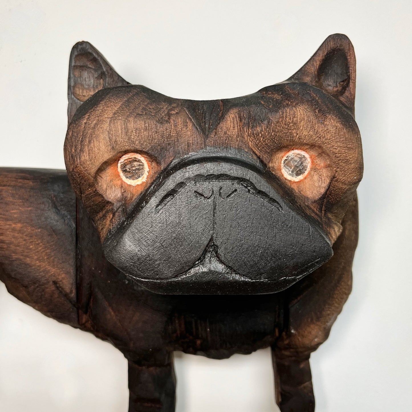 Brindle French Bulldog